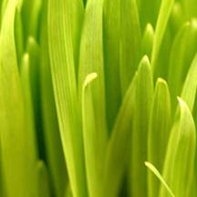 求个安全平台的网站攻击测试