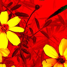 云端存储系统的DDOS攻击器